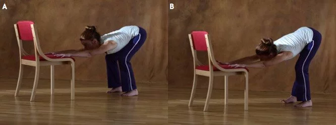 Fascial Stretches e.g. Cat Stretch